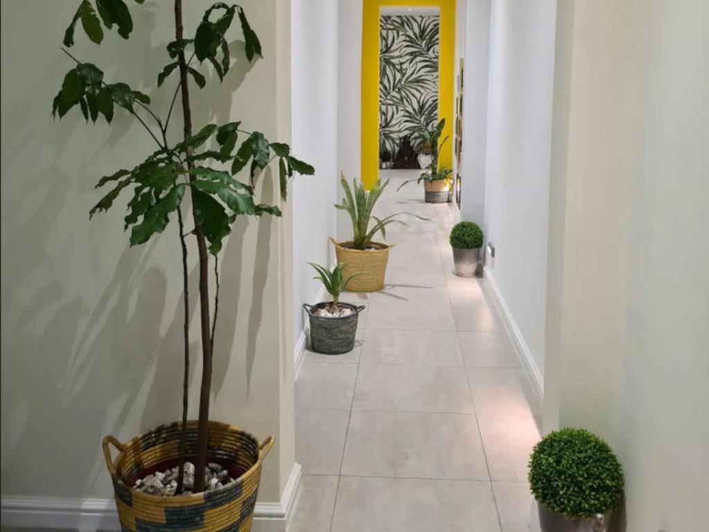 Hotel The Little Big Green House Muizenberg Habitación foto